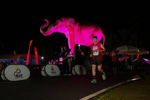 BIB: 
                            <button type="button" onclick="openModal(26544172)" class="btn btn-primary btn-sm float-right btn-popup" data-toggle="modal" data-target=".modal-high-quality">
                        <i class="fas fa-shopping-cart"></i> Add to Cart
                    </button>
                                            <button type="button" onclick="isThisMe(26544172, true)" class="btn btn-success btn-sm float-right btn-popup btn-isme hidden" data-toggle="tooltip" data-placement="bottom" title="นี่คือรูปของคุณใช่ไหม คลิกที่นี่เพื่อเอาเข้าอัลบั้ม">
                        <i class="fas fa-plus"></i> Add to album
                    </button>
                    <button type="button" onclick="isThisMe(26544172, false)" class="btn btn-warning btn-sm float-right btn-popup btn-isnotme hidden">
                        <i class="fas fa-ban"></i> Remove from album
                    </button>